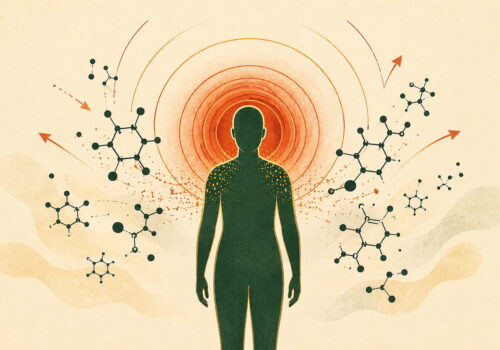 Illustration éditoriale : cortisol, hormone du stress chronique et perte de poids — FitGood Nantes