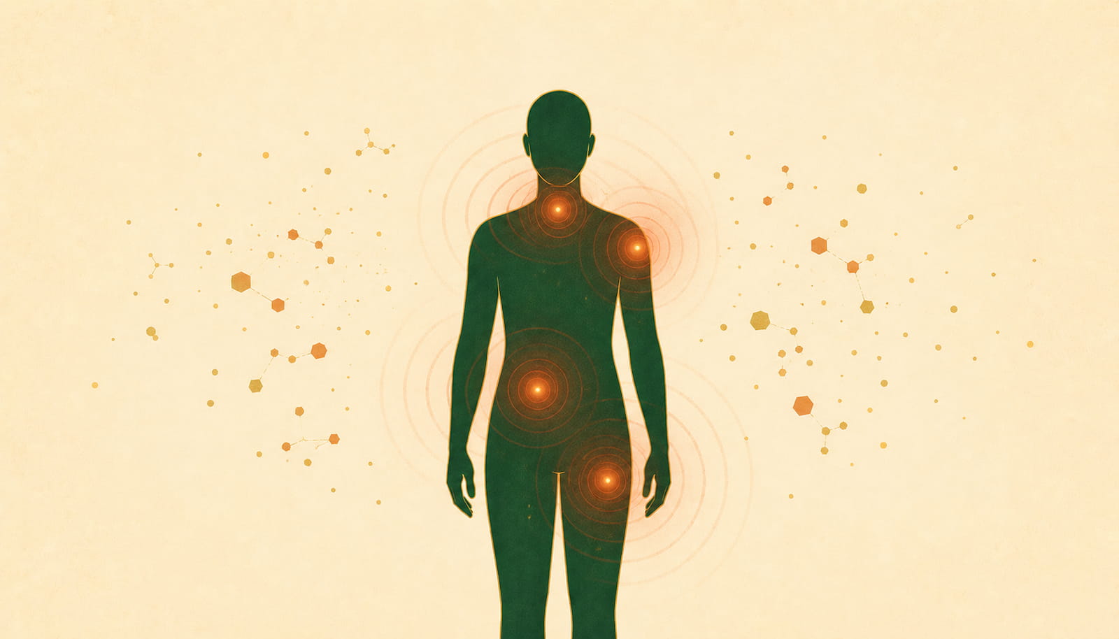 Illustration éditoriale : inflammation chronique et résistance à la perte de poids — FitGood Nantes