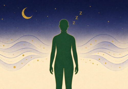 Illustration éditoriale : sommeil et hormones de régulation du poids (leptine, ghréline) — FitGood Nantes