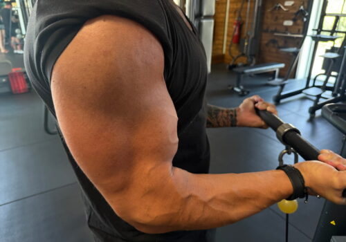 Le muscle et les calories au repos — FitGood Nantes